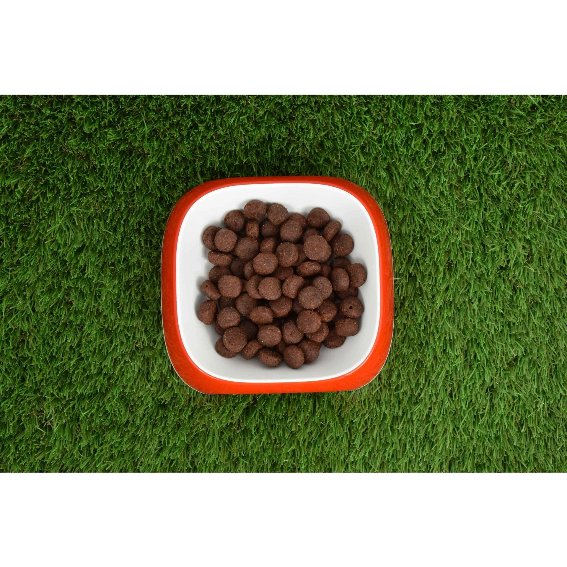 Pienso Natural Grain Free Superpremium Pollo y Pato 12 kg Planeta Huerto