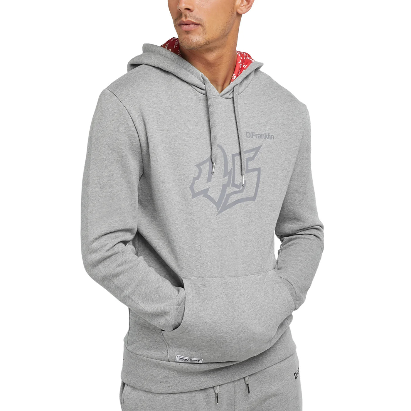 Sudadera D.Franklin GREY logo