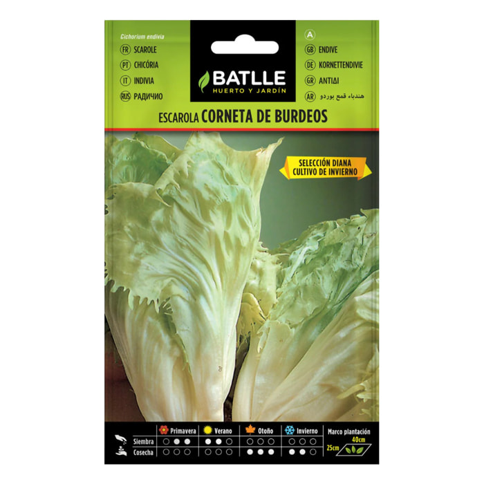 Semillas de Escarola corneta de Burdeos Batlle