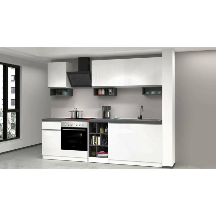 Cucina completa Dcelient, Cucina pratica e salvaspazio, Parete da cucina con 7 ante e 1 cassetto, 100% Made in Italy, 255x60h85 cm, Bianco lucido e Ardesia