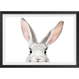 Affiche enfant lapin  Affiche + cadre en bois - Noir