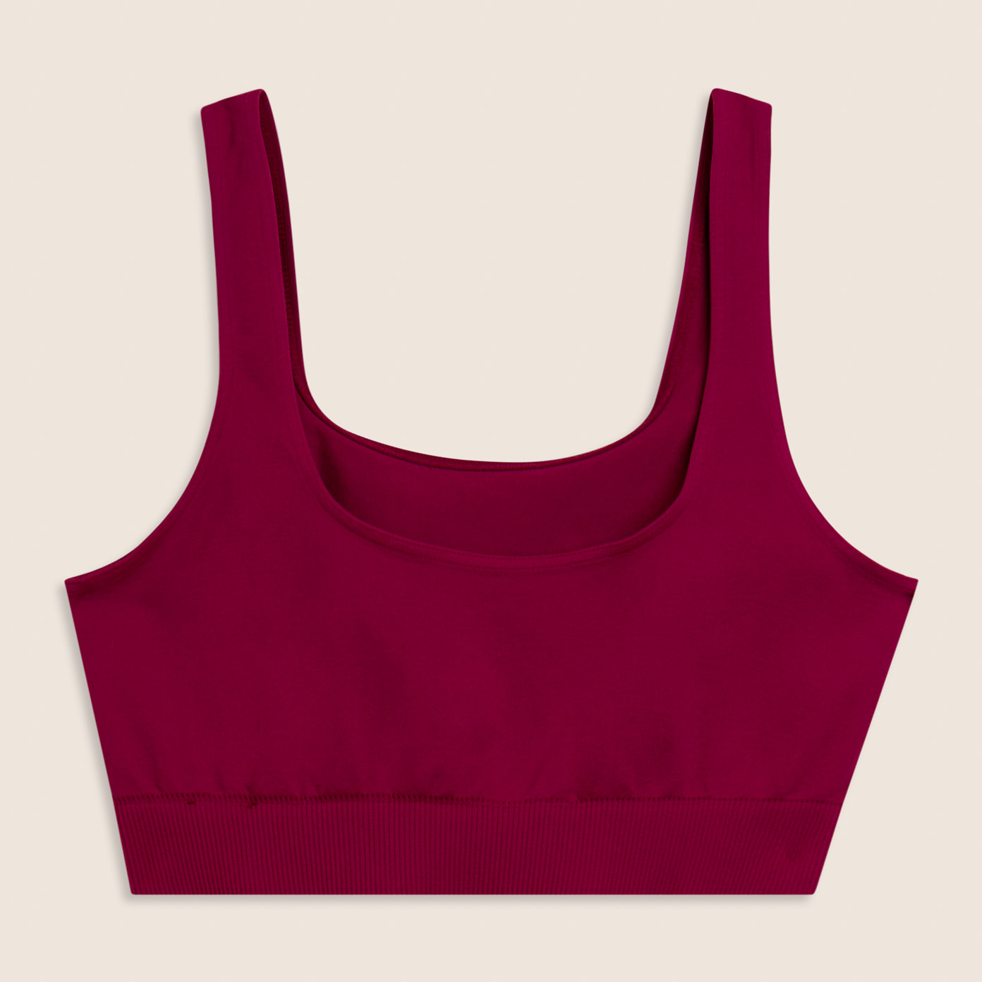 Top Sportivo Seamless con Fascia Sottoseno in costina