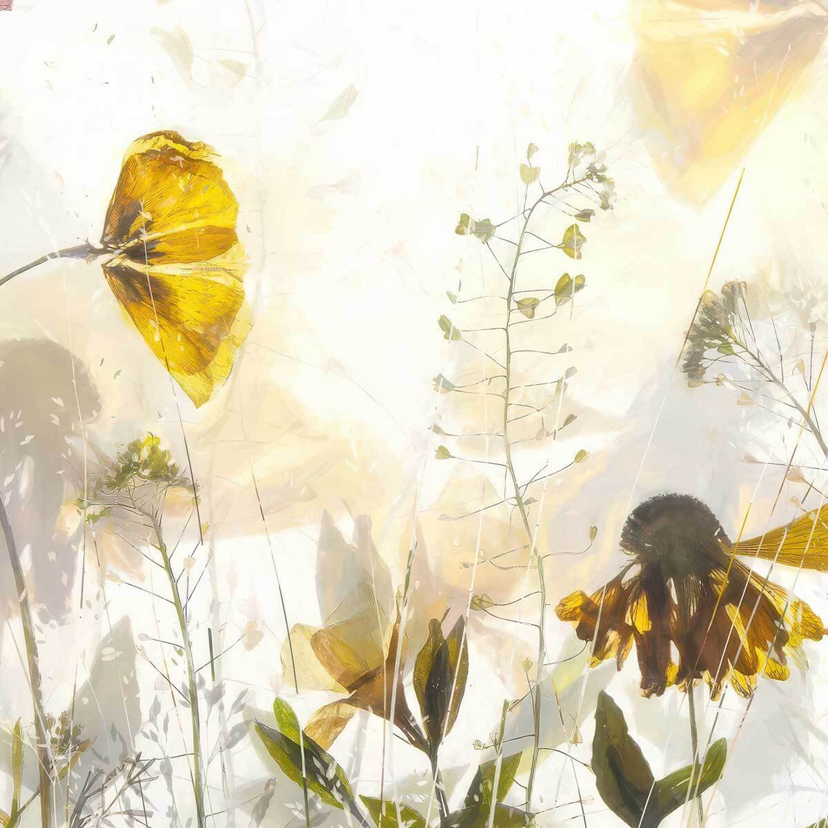 Tableau fleurs sauvages lumineuses Toile imprimée