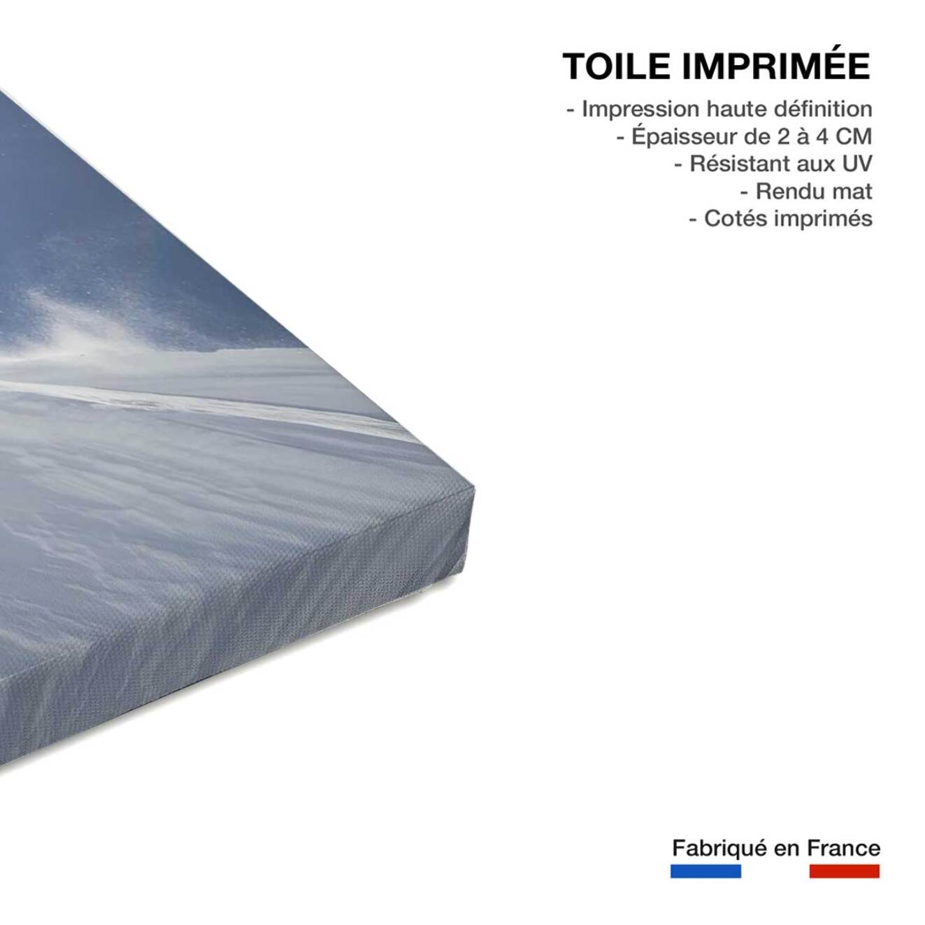 Tableau mute grab ski Toile imprimée