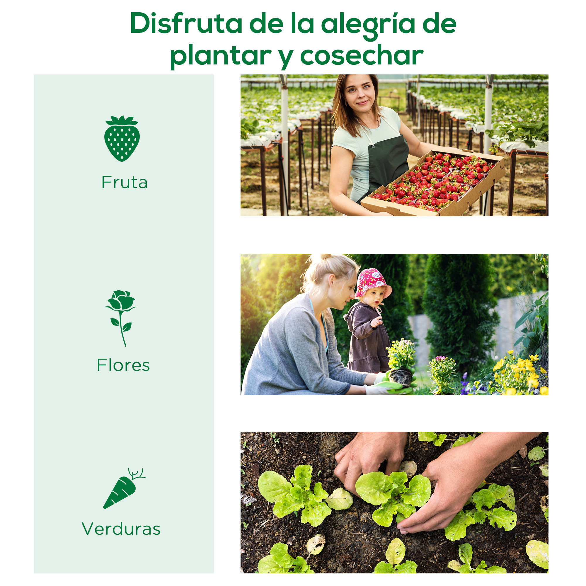 Invernadero de Exterior, 200x80x45 cm, Invernadero de Jardín con 4 Ventanas Enrollables de Malla, Marco de Acero y Cubierta de PE 140g/Ã£Å½Â¡ Anti-UV para Cultivos, Plantas, Flores, Verde