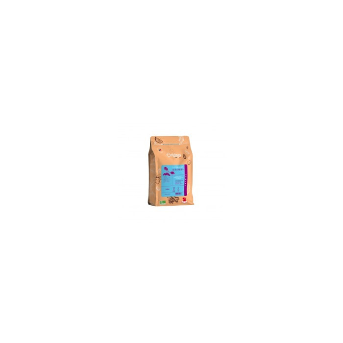 Café Gourmand Bio aux Epices - Moulu Filtre 200g