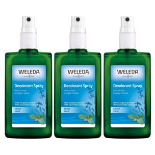 WELEDA - Trio Déodorant spray Sauge - 100% d'origine naturelle - Vegan* - Certifié Natrue** - Vaporisateur 100 ml  x 3