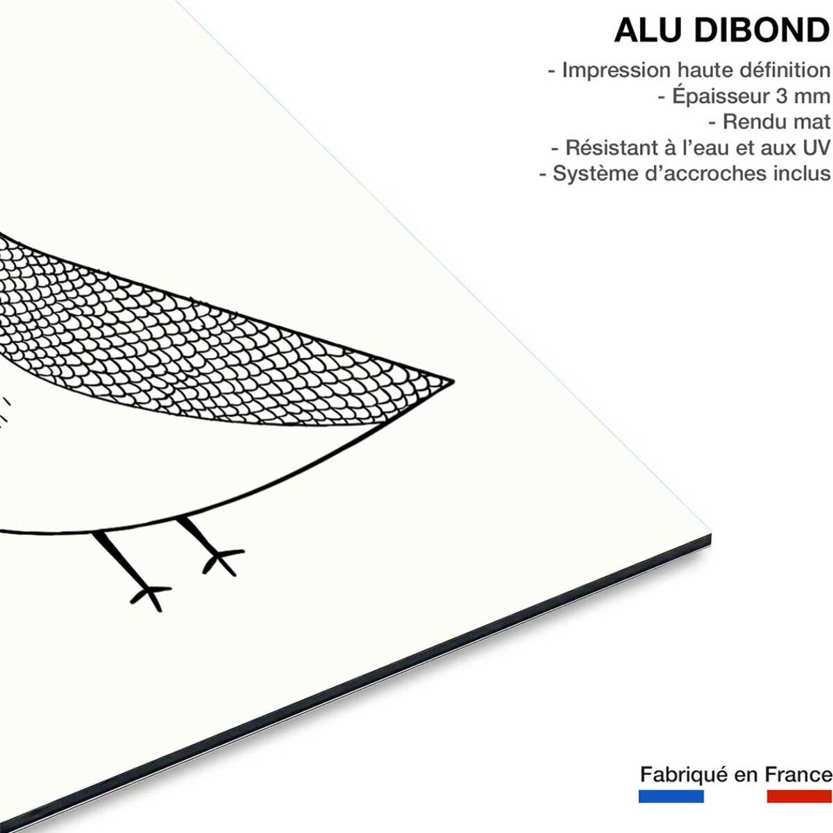 Tableau dessin hibou boo Tableau alu Dibond