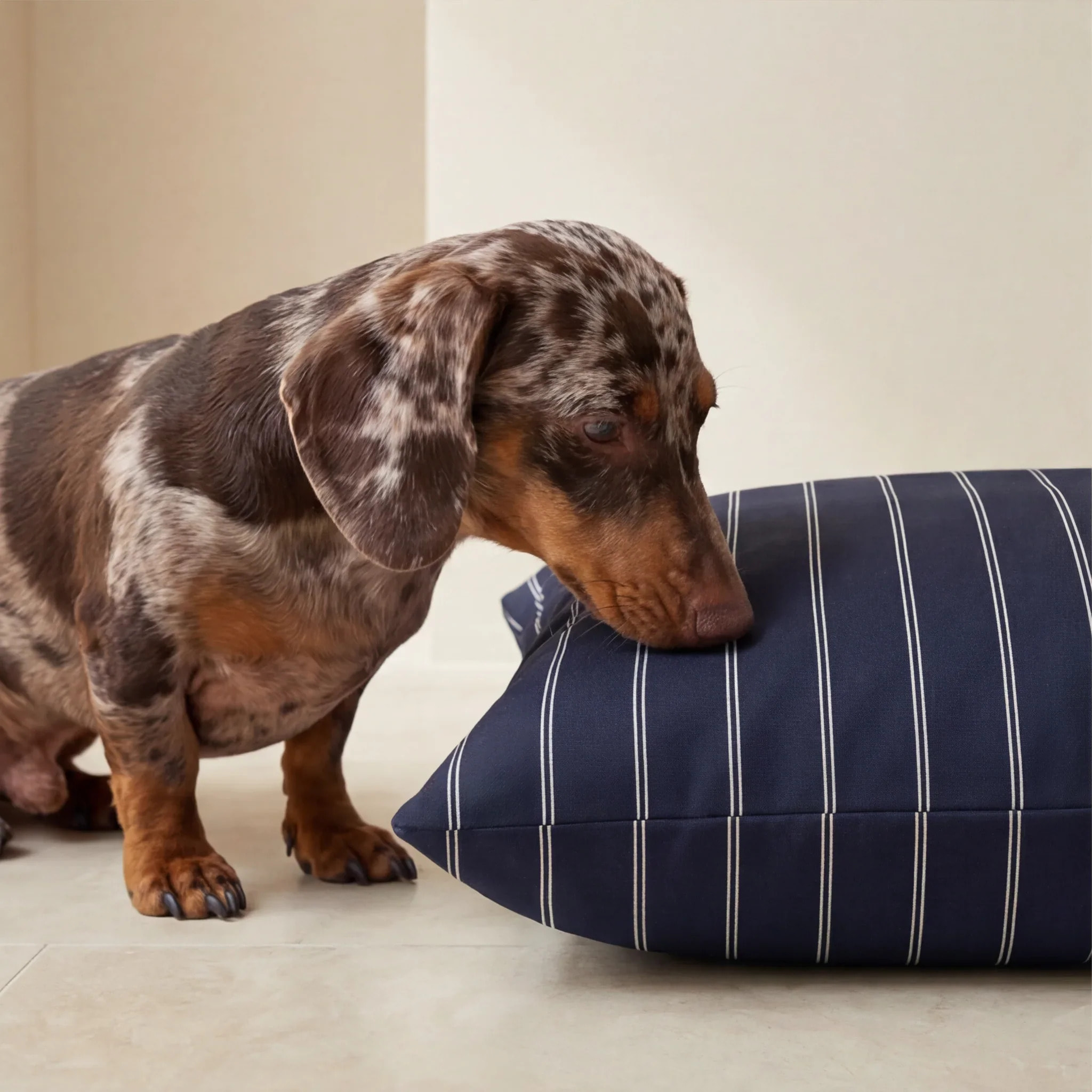 Lit pour animaux déhoussable et antitaches Max Marine