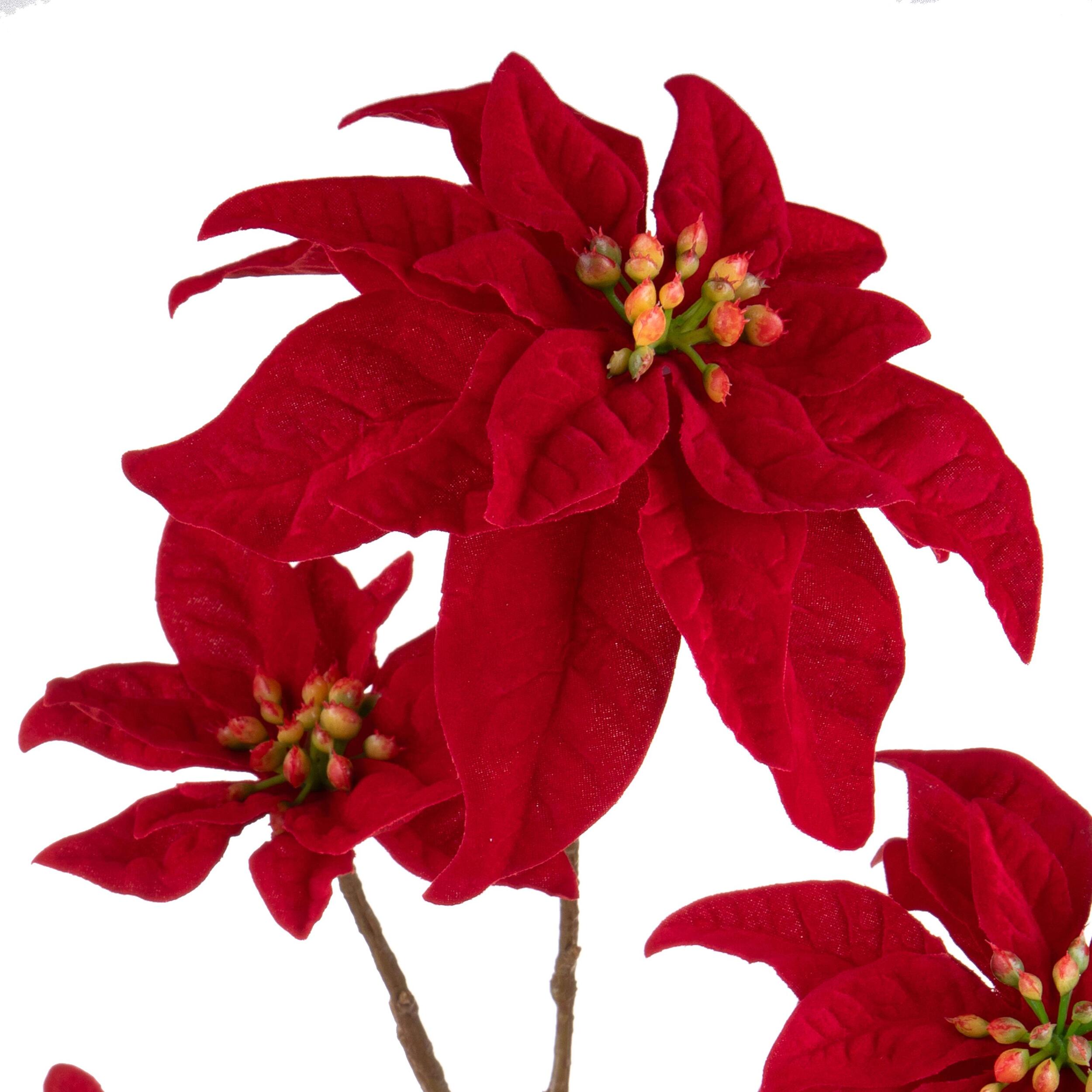 Ramo poinsettia - Pezzi 6 - 21xH106x20cm - Bianchi Dino SpA
