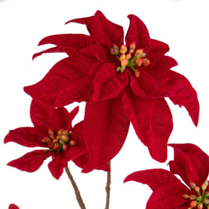 Ramo poinsettia - Pezzi 6 - 21xH106x20cm - Bianchi Dino SpA