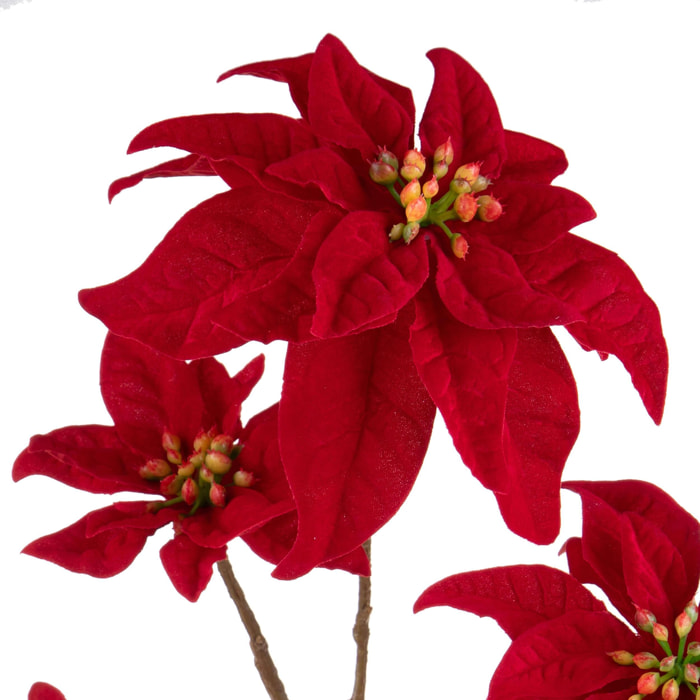 Ramo poinsettia - Pezzi 6 - 21xH106x20cm - Bianchi Dino SpA