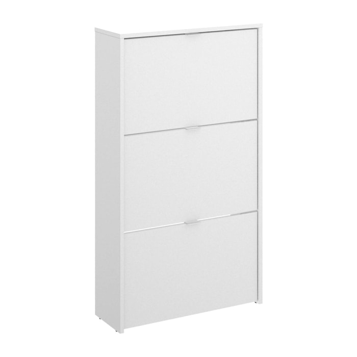 Scarpiera Algoor, Portascarpe salvaspazio da ingresso, Mobiletto porta scarpe a 3 ante a ribalta, 61x25h113 cm, Bianco lucido