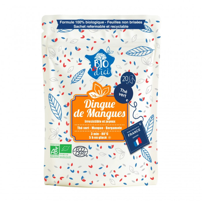 Thé vert Bio Dingue de Mangue - Infusettes 20x2g