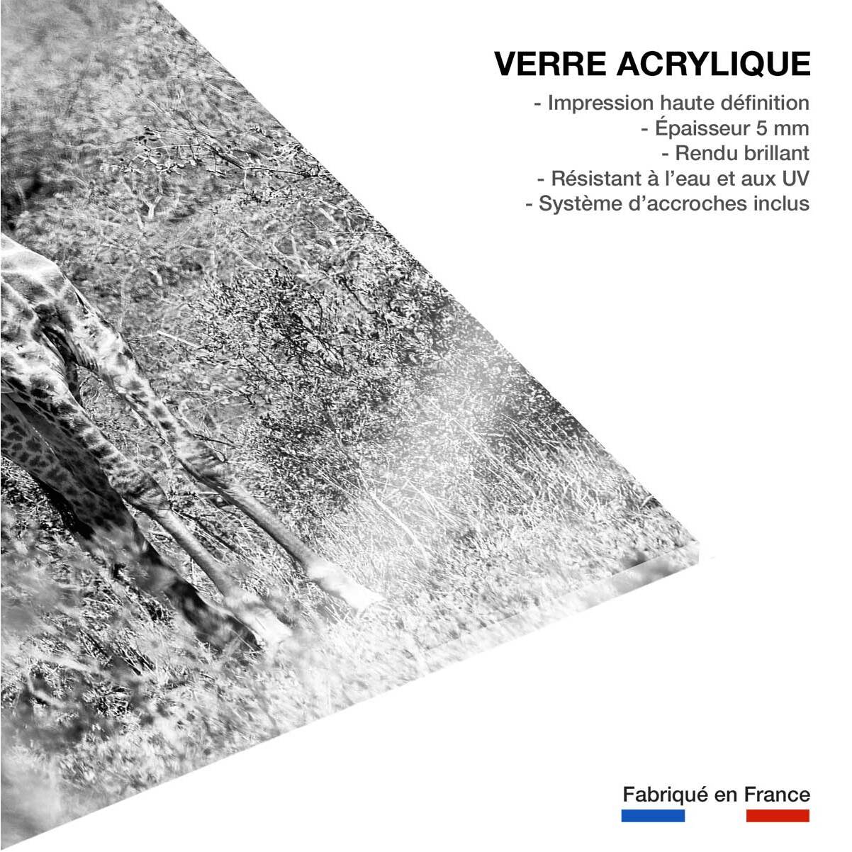 Tableau animaux girafe en instantanée  Tableau plexiglas