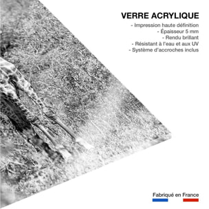 Tableau animaux girafe en instantanée  Tableau plexiglas