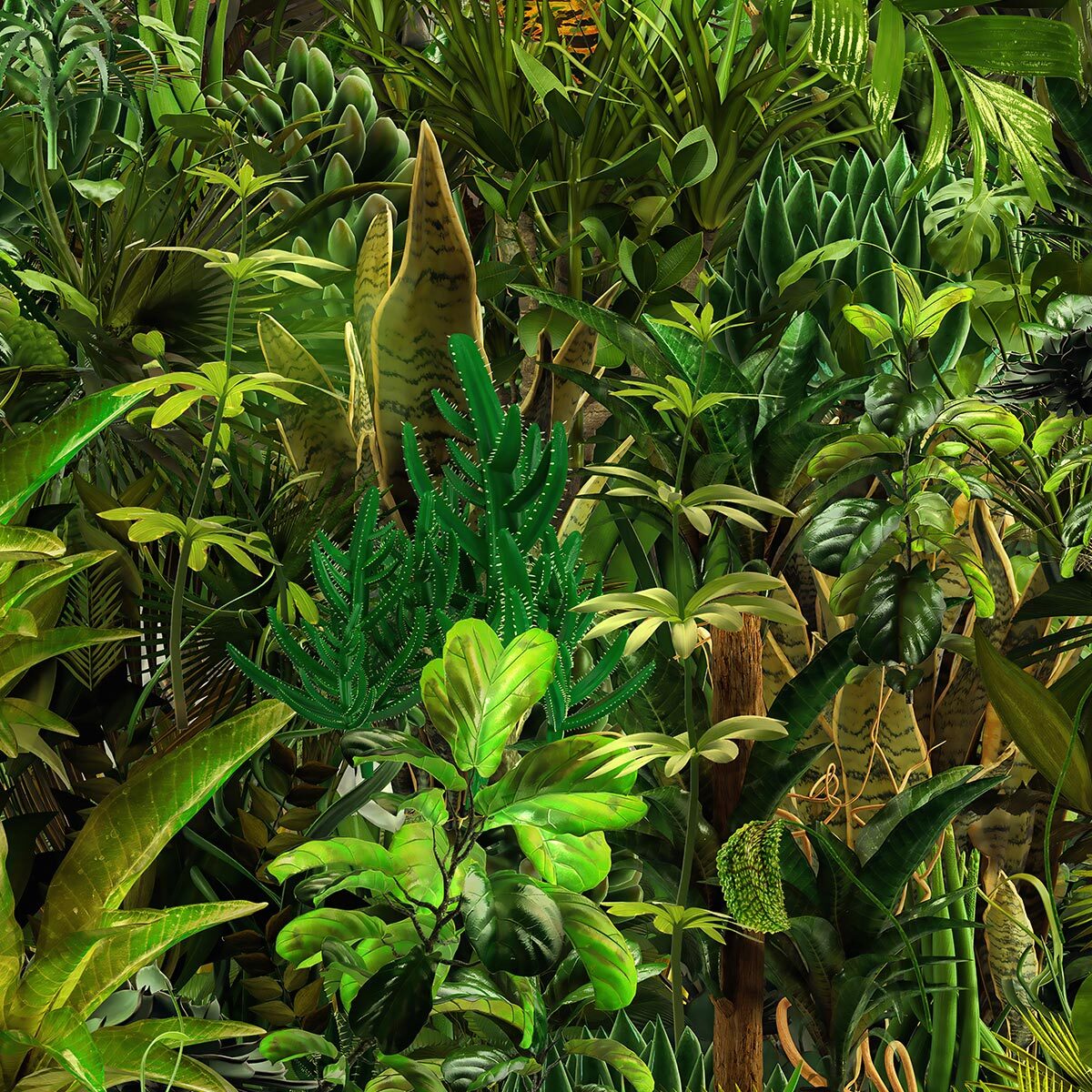 Papier peint panoramique palmier paradis vert Intissé
