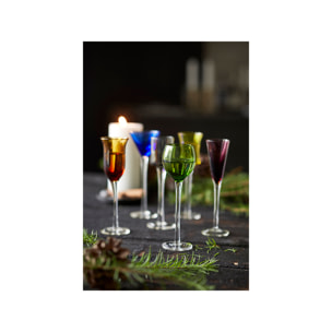 Ensemble de 6 verres à schnaps assortis