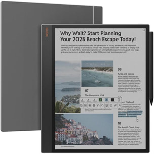 Bloc-notes numérique BOOX Tab X C 13.3''