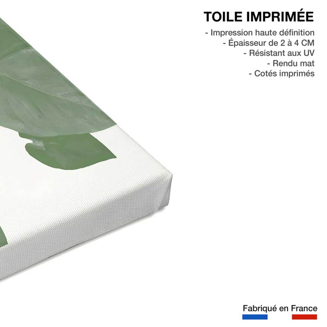 Tableau Feuilles de Monstera Toile imprimée