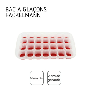 Bac à glaçons 28 cubes Plastique Fackelmann Bar Concept