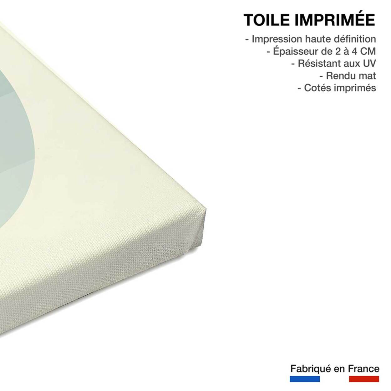 Tableau walking on the moon Toile imprimée