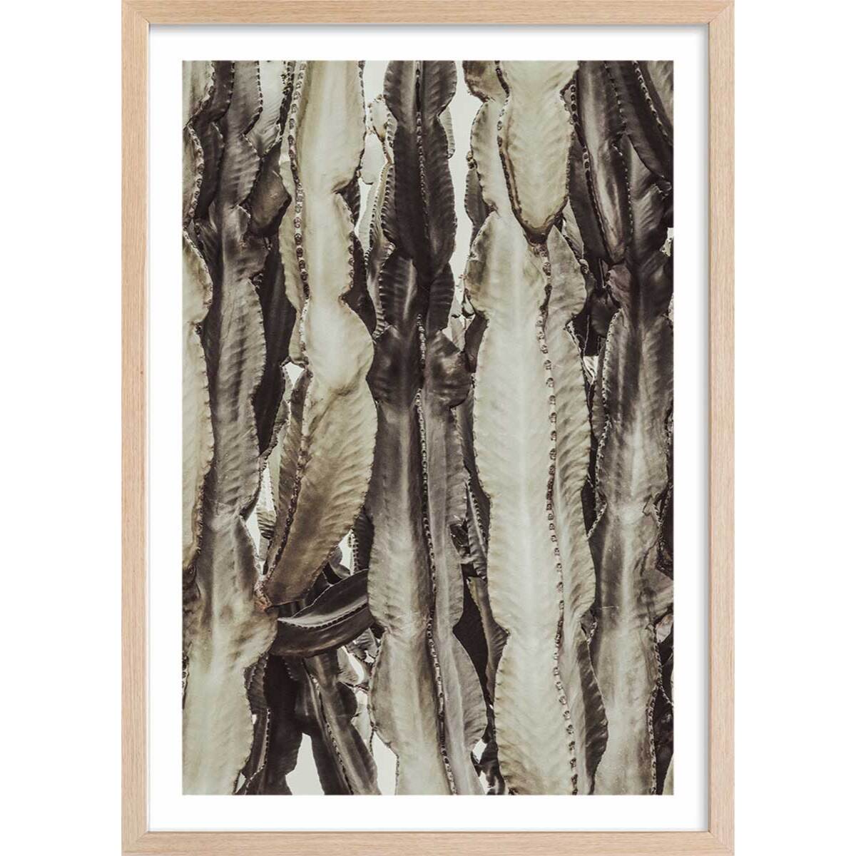 Poster cactus mood Affiche + cadre en bois - Chêne