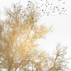 Affiche dessin ""Ciel d'or"" Affiche sous cadre bois