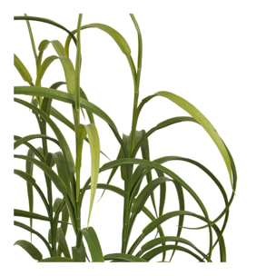 Pianta artificiale Grass Plant in PE verde — H 89 cm con vaso