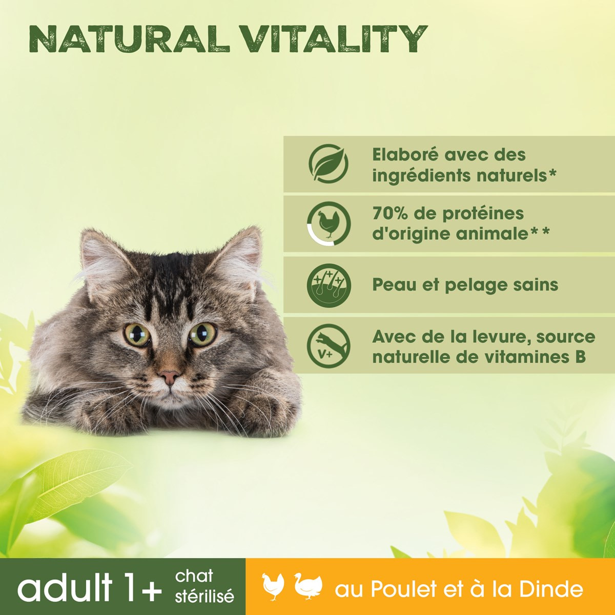 PERFECT FIT Natural Vitality Croquettes au Poulet et à la Dinde pour chat adulte (3x1kg)