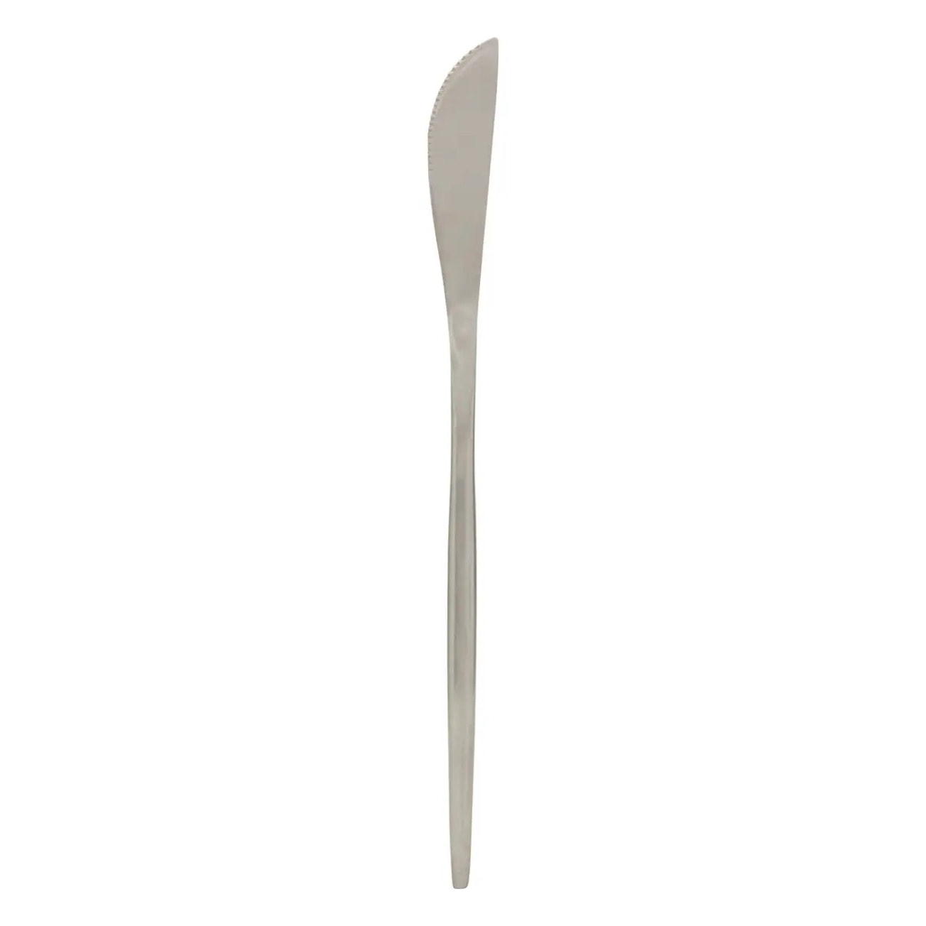 Ménagère Ida 24 pièce(s) argent L2,7xp0,7xH22,7cm