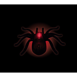 ARAÑA LUMINOSA CON VENTOSA