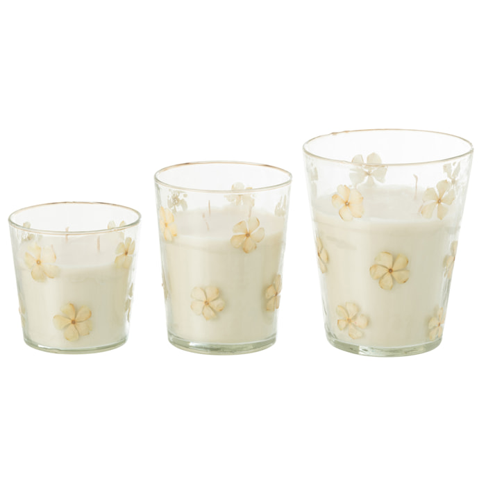 J-Line Bougie parfumée Fleurs – Tender Rose – verre – transparent – large – 75U