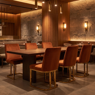 Sedia Imbottita in Effetto Velluto con Gambe Oro, Design Moderno ed Elegante per Sala da Pranzo, Cucina, Soggiorno, Studio e Ufficio