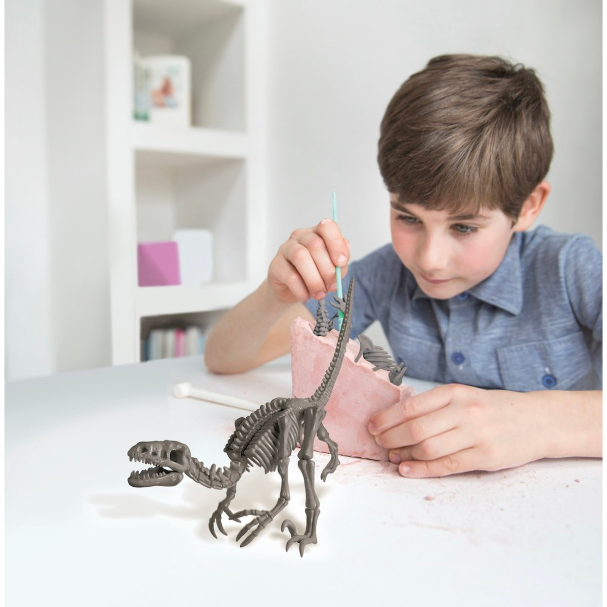 Scava e crea lo scheletro di un Velociraptor