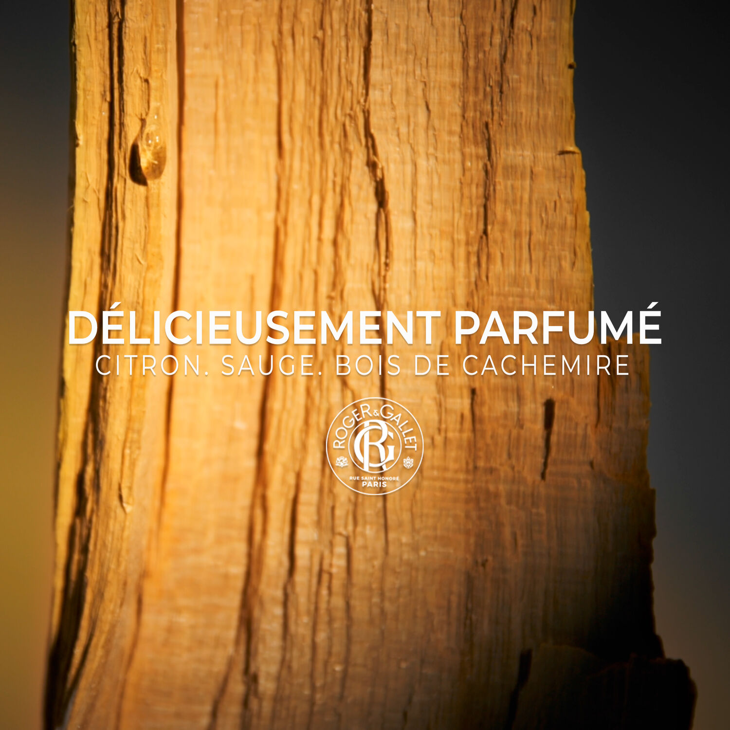 Cologne Twist - Pain de Rasage 100 g