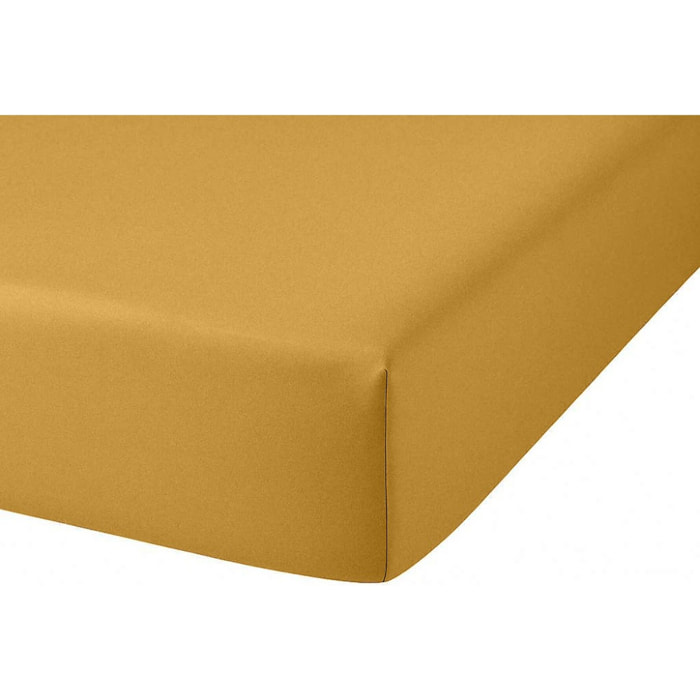 DRAP HOUSSE 2 PERS 160x200  MOUTARDE