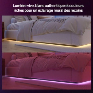 Bandeau LED PHILIPS HUE Flux Strip Light 3m White&Color gradient
