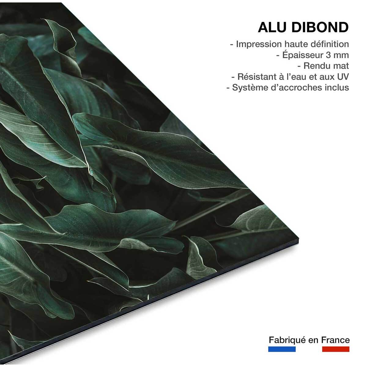 Tableau cactus green leaves  Tableau alu Dibond