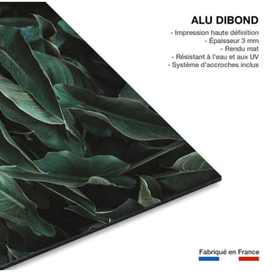 Tableau cactus green leaves  Tableau alu Dibond