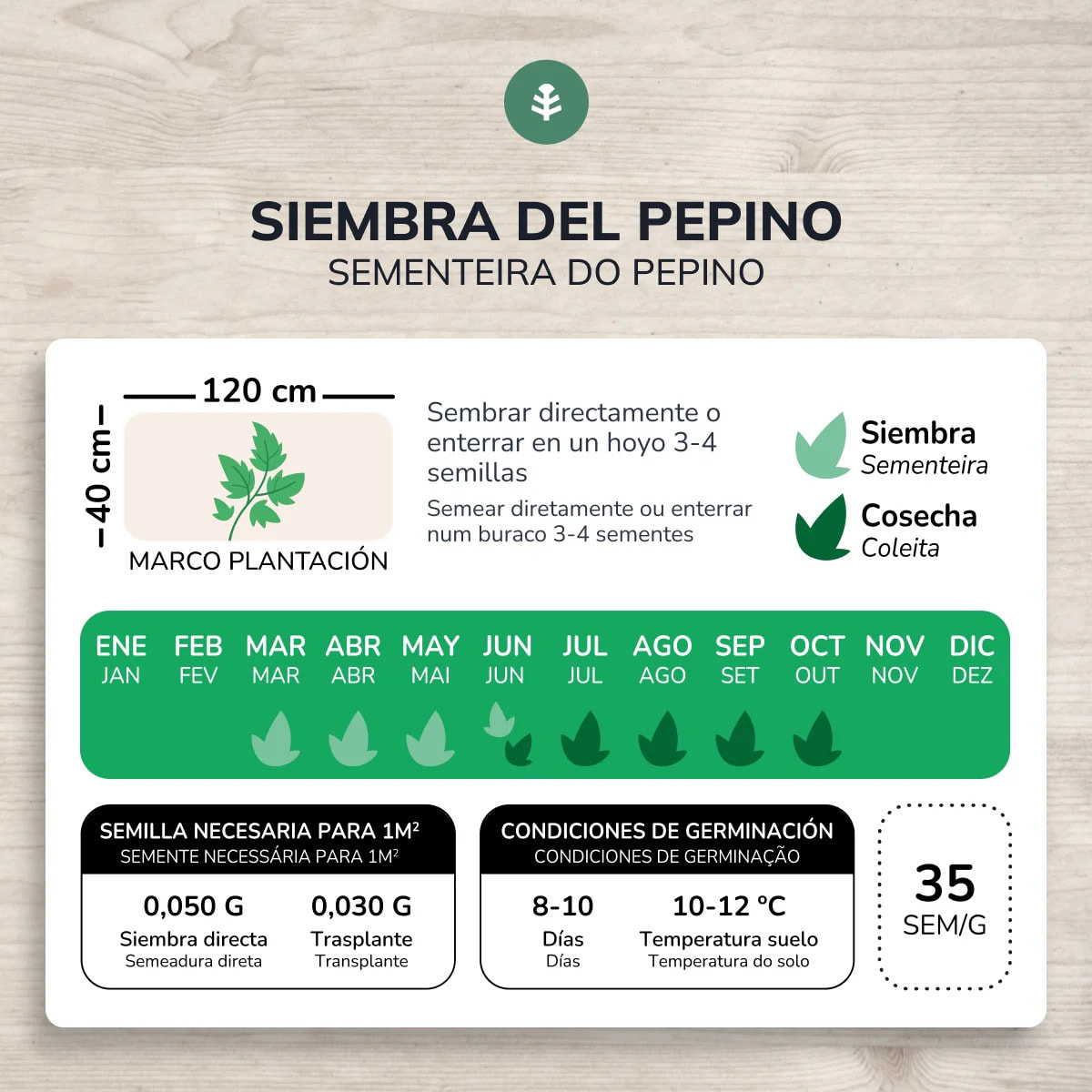 Semillas de Pepino marketmore ecológicas Planeta Huerto