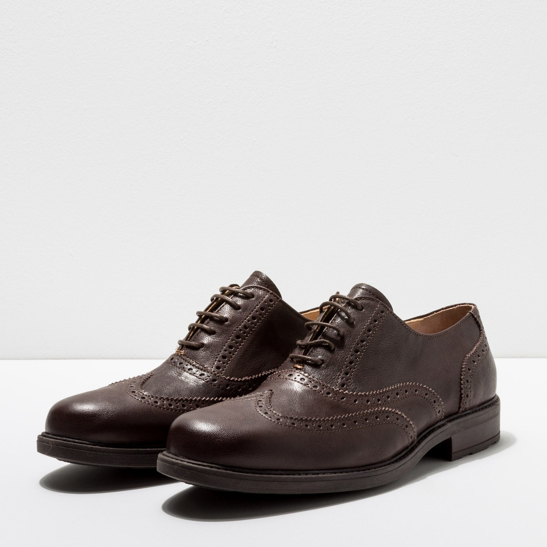 Zapatos S3171 MONTONE BROWN /TRESSOT color Brown