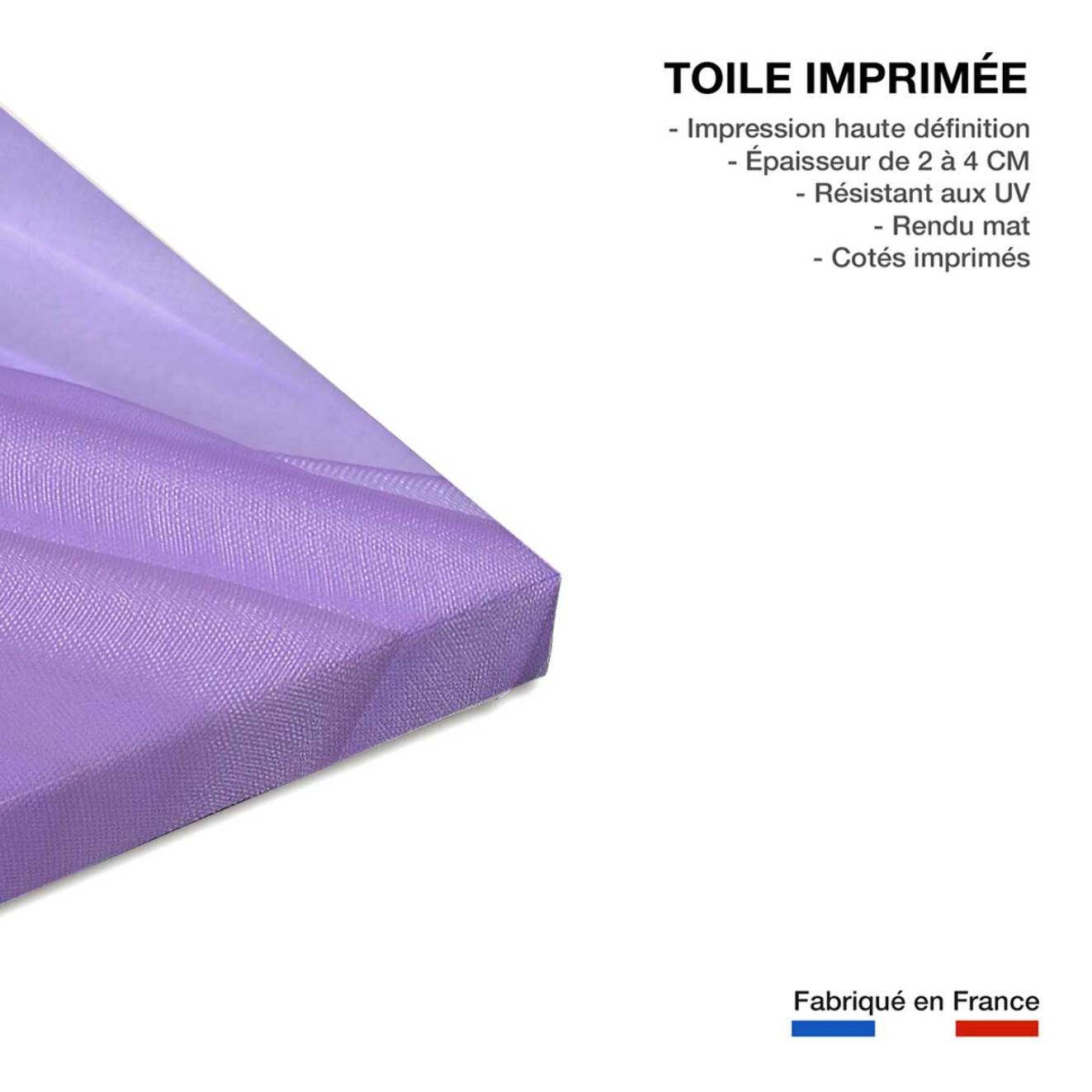 Tableau animaux chat  Toile imprimée