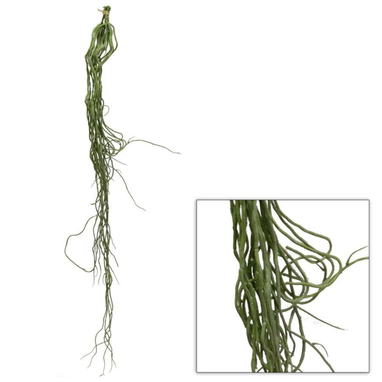 Ramo radice di orchidea verde cm0,5xh108x0,5