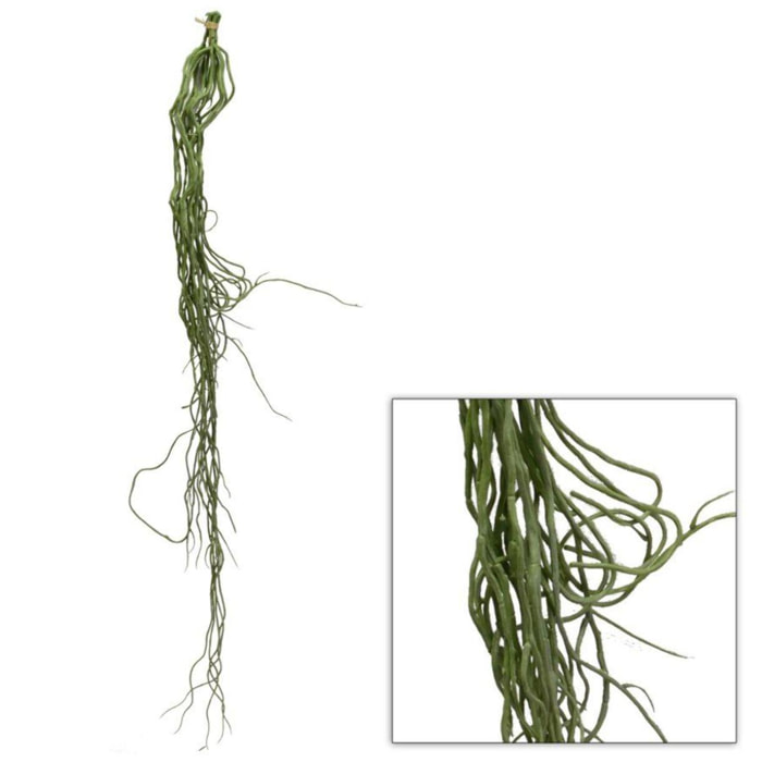 Ramo radice di orchidea verde cm0,5xh108x0,5