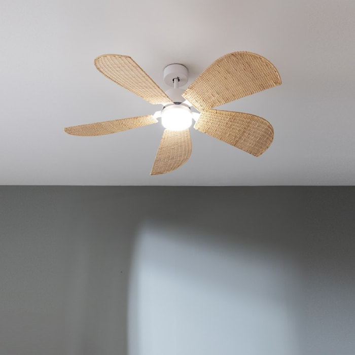 Cecotec Ventilateur de plafond avec lampe EnergySilence Aero 5290 Natural