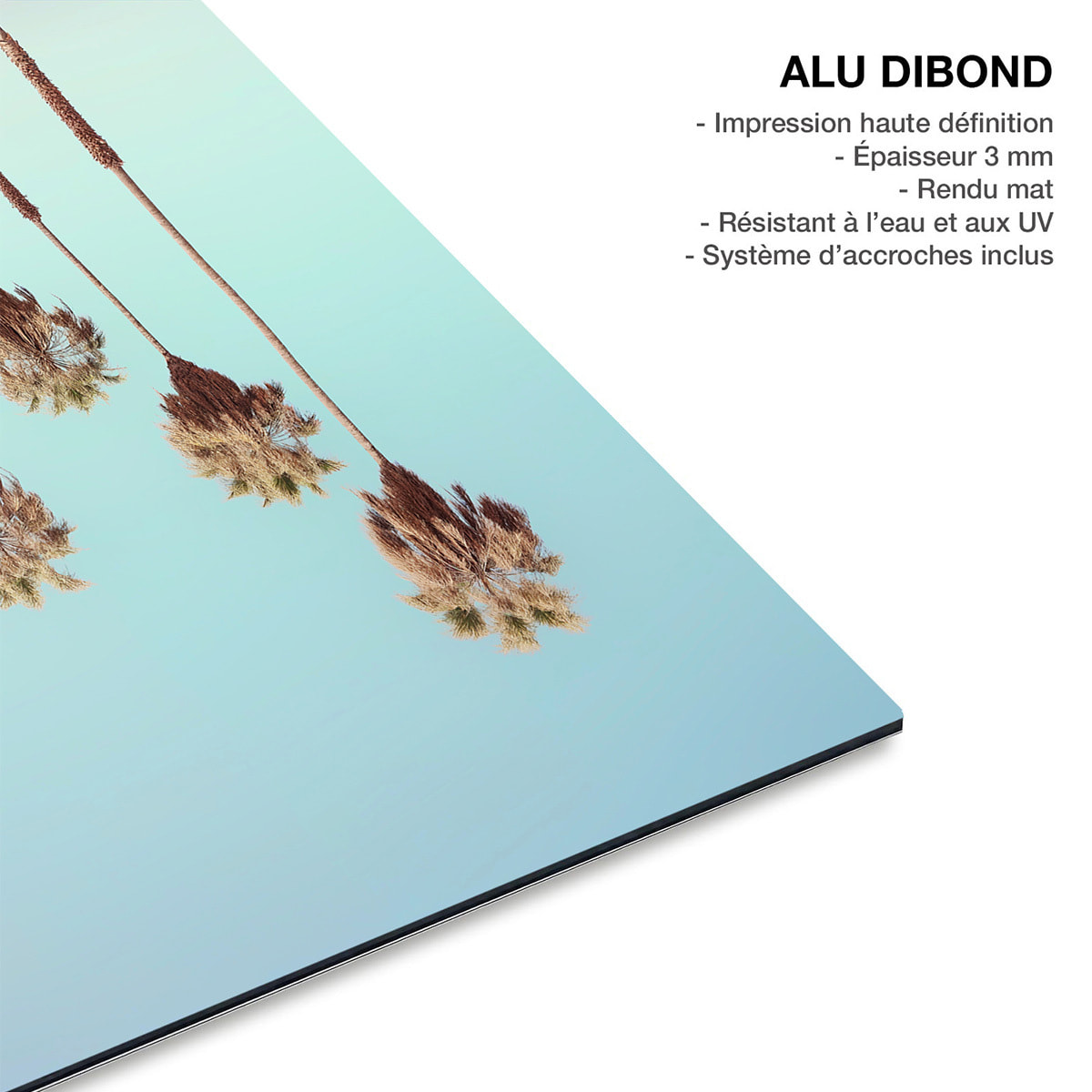 Tableau paysage mer Van sur Venice beach Tableau alu Dibond