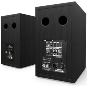 Enceinte bibliothèque active TRIANGLE BR03 Connect Noir