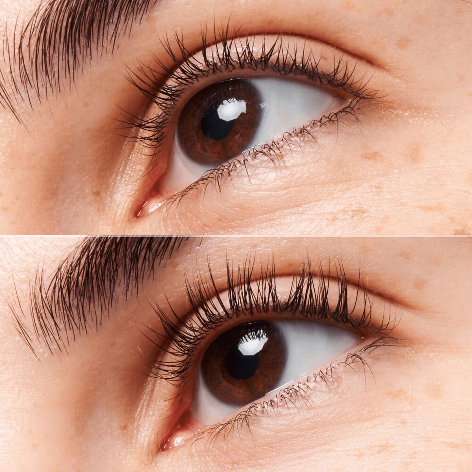Caffeine Kick Lash & Brow Serum - Sérum Cils et Sourcils