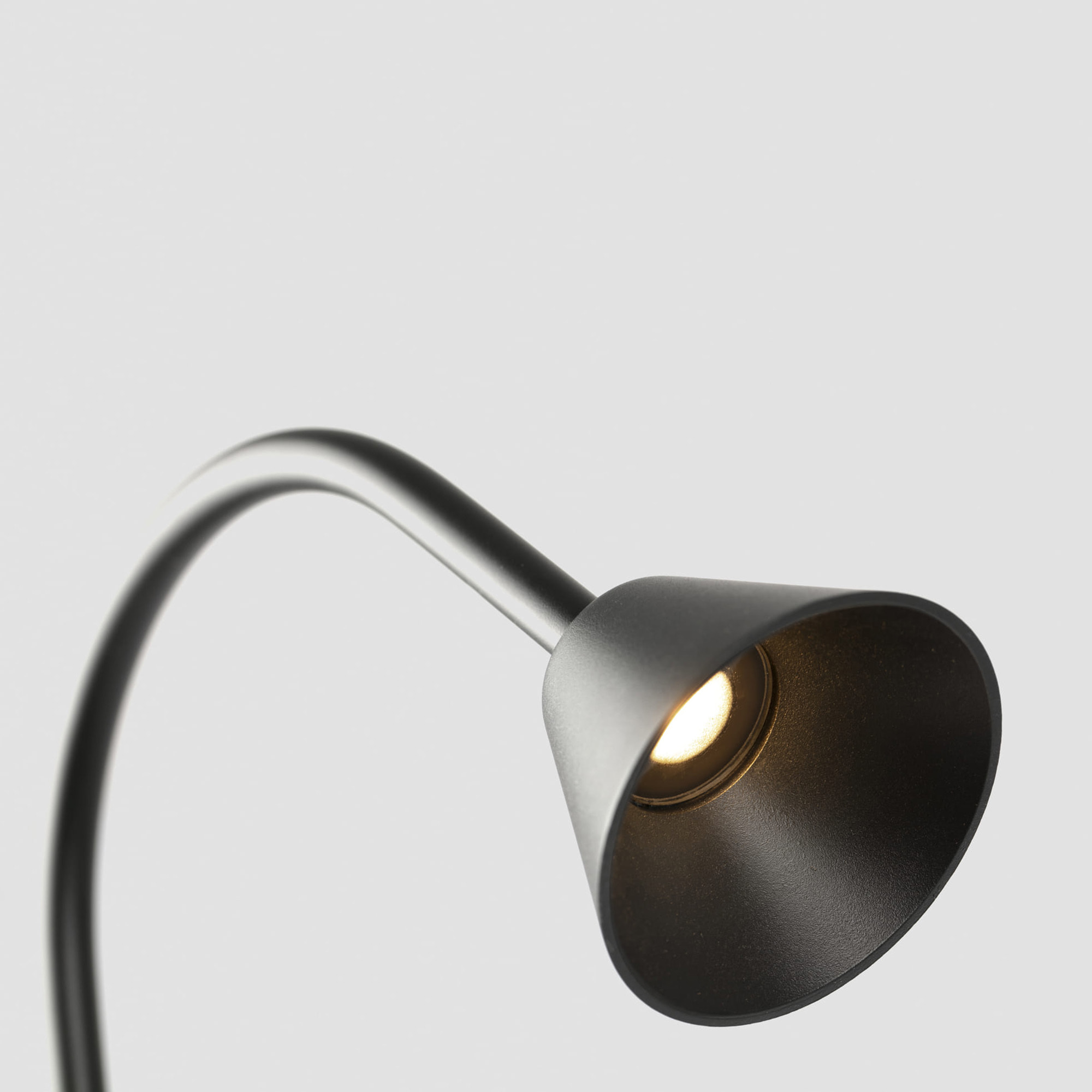 LILY 300 Piquet noire